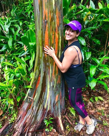 Rainbow Eucalyptus in Maui- yes, this tree and photo are real and not photoshopped