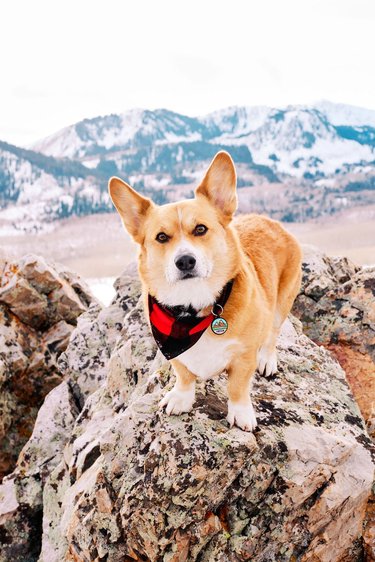 Einstein being a ham.