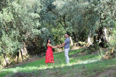 Taken in Cosoleto Italy, where Melissa's family grows olive trees. 