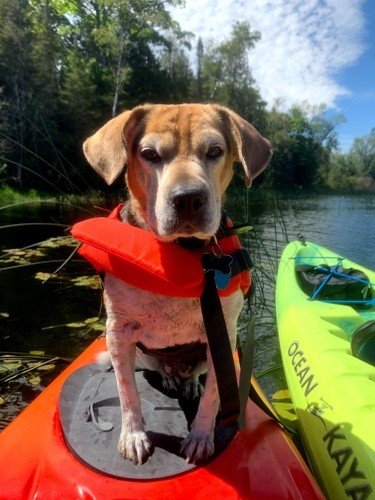 Adventures with Duffy