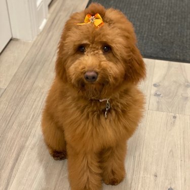 Gladys Knight - she's a lot. But we sure do love her