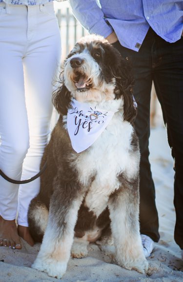 9.19.21 | Our Engagement Photoshoot