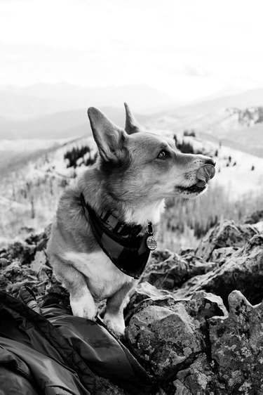 Einstein being cute.